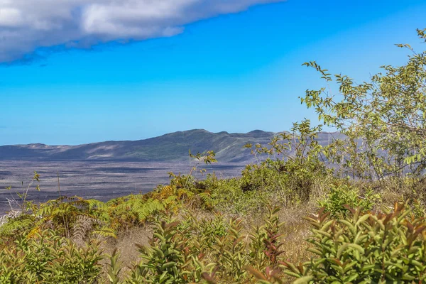 Volcan Sierra Negra, Galapagos, Équateur — Photo