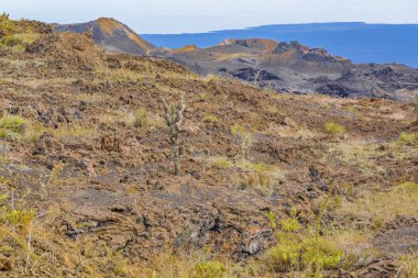 Sierra Negra Volcano, Galapagos, Ecuador