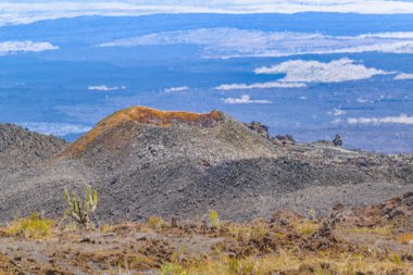 Sierra Negra Volcano, Galapagos, Ecuador