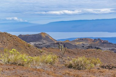 Sierra Negra Volcano, Galapagos, Ecuador