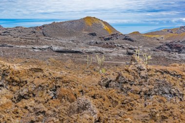 Sierra Negra Volcano, Galapagos, Ecuador