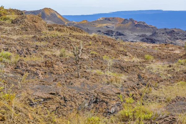 Sierra Negra Volcano, Galapagos, Ecuador