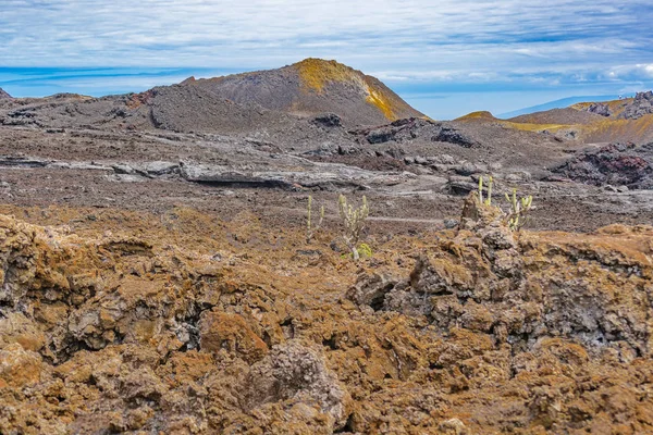 Sierra Negra Volcano, Galapagos, Ecuador