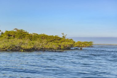 Deniz manzarası Isabela Adası, Galapagos, Ecuador