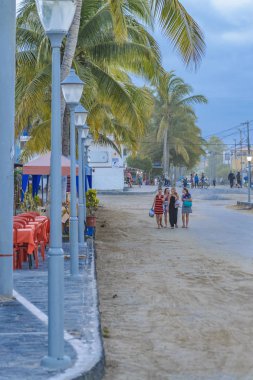 Isabela Adası Boardwalk, Galapagos, Ecuador
