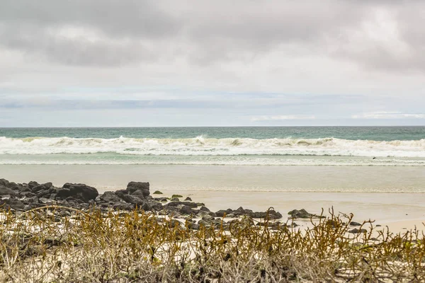 Tortuga Bay Beach, Galapagos, Ecuador — Stock Photo, Image