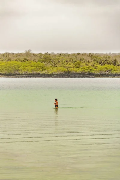 Personnes prenant un bain à la plage, Galapagos, Équateur — Photo