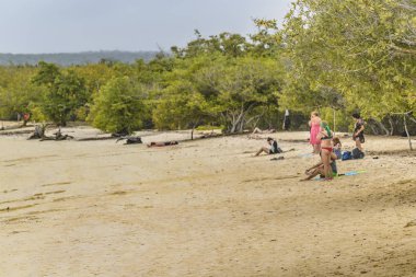 Küçük plaj Santa Cruz adasında, Galapagos, Ecuador