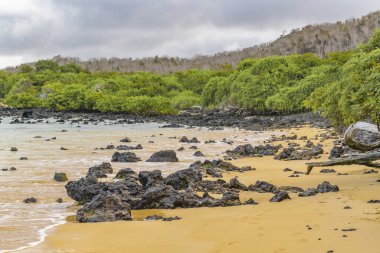El Garrapatero Beach, Galapagos, Ecuador