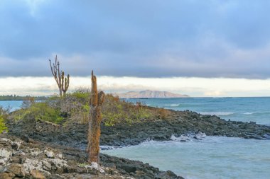 El Garrapatero Beach, Galapagos, Ecuador