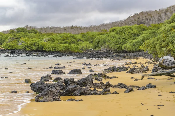 El Garrapatero Beach, Galapagos, Ecuador