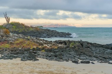 El Garrapatero Beach, Galapagos, Ecuador