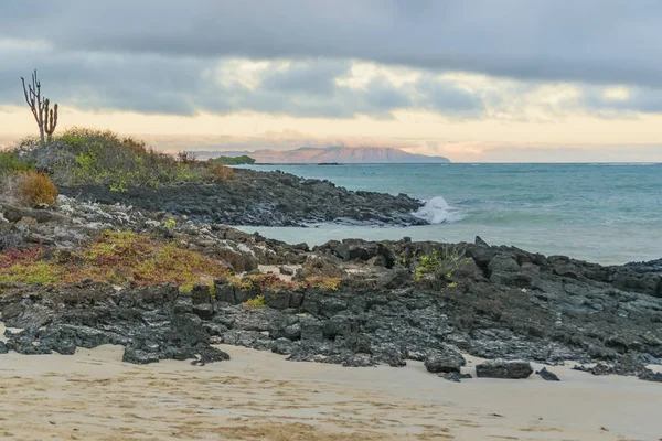 Plage El Garrapatero, Galapagos, Équateur — Photo