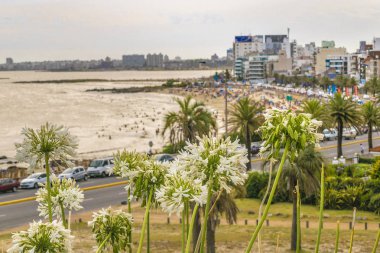 Havadan görünümü Montevideo Beach, Uruguay