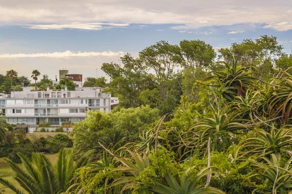 Luxury Neigborhood, Montevideo, Uruguay — Stock Photo, Image