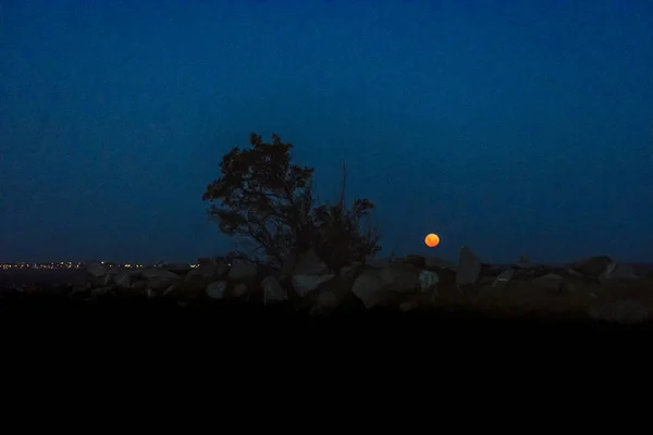 Moonscape Scene at Coast, Montevideo, Uruguay — Stock Photo, Image