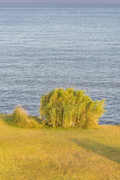 Coastal Landscape Scene — Stock Photo, Image