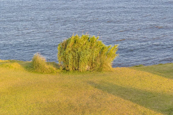 Coastal Landscape Scene — Stock Photo, Image