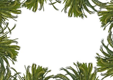 Beyaz bir çerçeve ile dekore edilmiş fabrikası sınırları