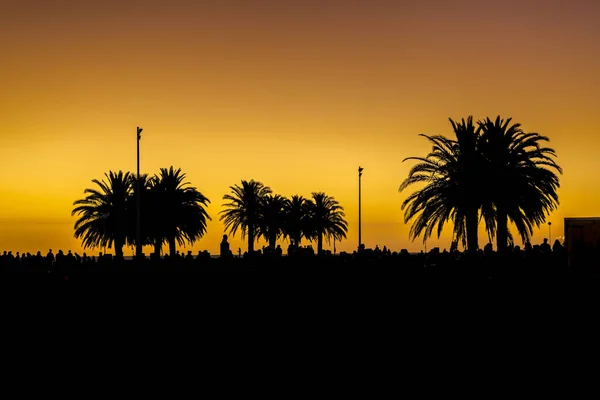 Sunset Urban Scene at Park, Montevideo, Uruguay — Stock Photo, Image