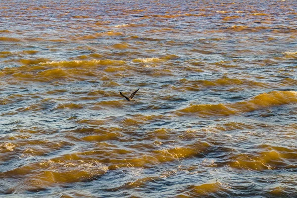 シースケープ川背景 — ストック写真