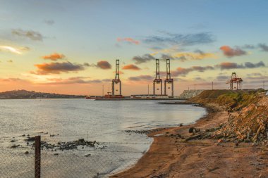 Günbatımı zamanı koyunda Montevideo