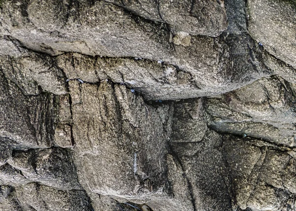 岩の抽象的なテクスチャ — ストック写真