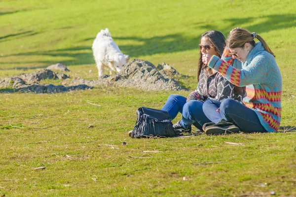 Kadınlar at Park, Punta del Este, Uruguay