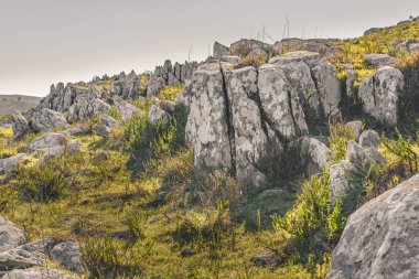 Kayalık kırsal manzara, Maldonado, Uruguay