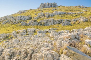 Kayalık kırsal manzara, Maldonado, Uruguay