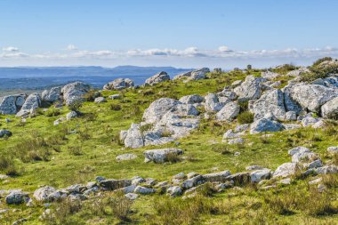 Kayalık kırsal manzara, Maldonado, Uruguay