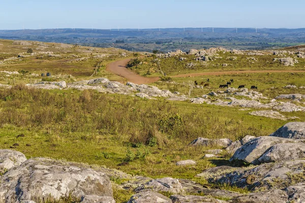 Paysage de campagne rocheux, Maldonado, Uruguay — Photo