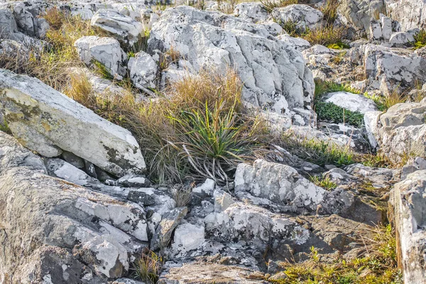 Kayalık kırsal manzara, Maldonado, Uruguay