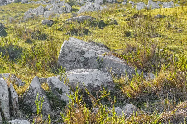 Kayalık kırsal manzara, Maldonado, Uruguay
