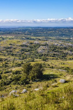Kırsal sahne havadan görünümü, Maldonado, Uruguay