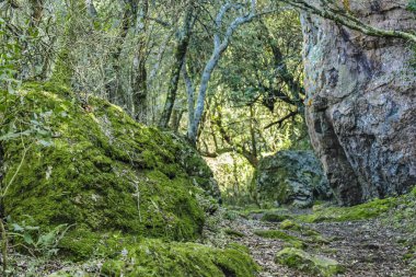 Kayalık mağaranın arka plan