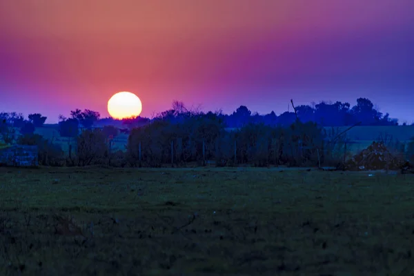 Cena do pôr-do-sol do campo — Fotografia de Stock
