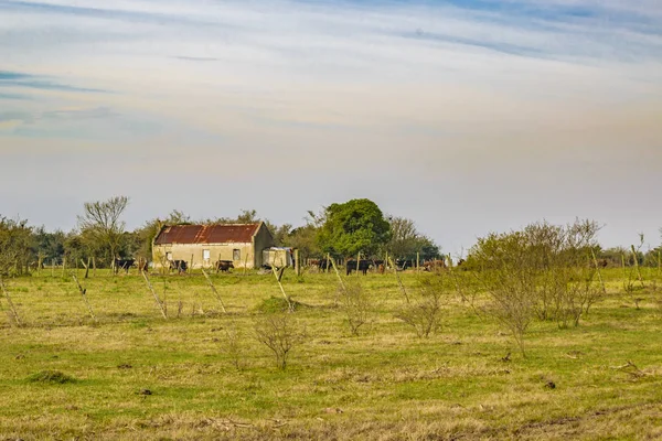 农村住宅景观场景，乌拉圭 — 图库照片