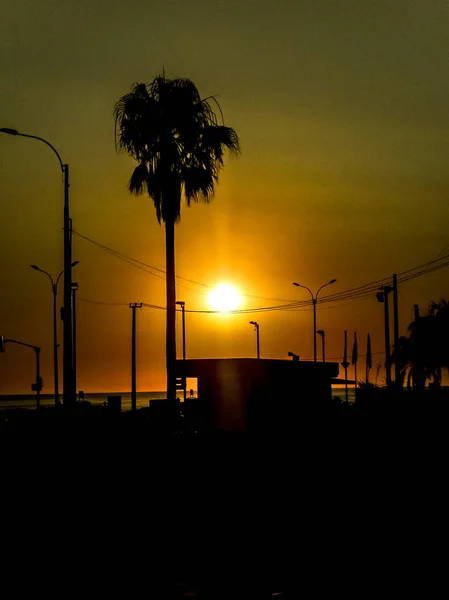 Kentsel silueti günbatımı sahne — Stok fotoğraf