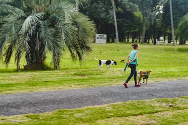 Evde beslenen hayvan vasıl Park ile yürüyen kadın