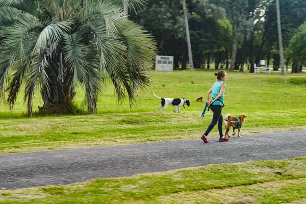 Evde beslenen hayvan vasıl Park ile yürüyen kadın