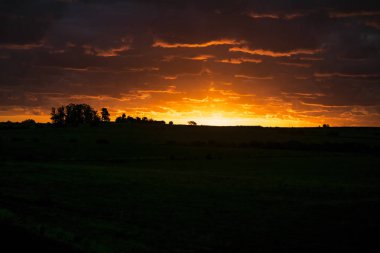 Çayır günbatımı manzara sahne, Uruguay