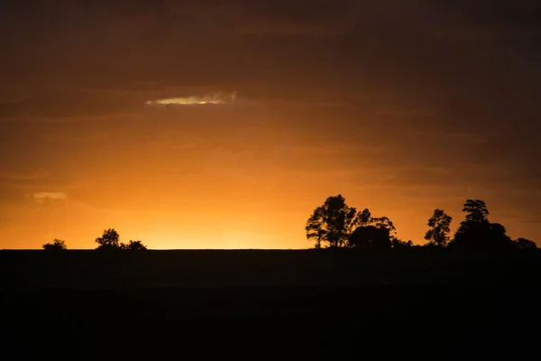 Wiese Sonnenuntergang Landschaft Szene, uruguay — Stockfoto