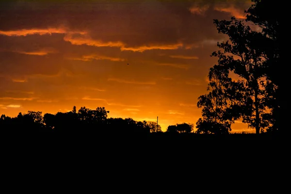 Łąka zachód słońca krajobraz sceny, Urugwaj — Zdjęcie stockowe