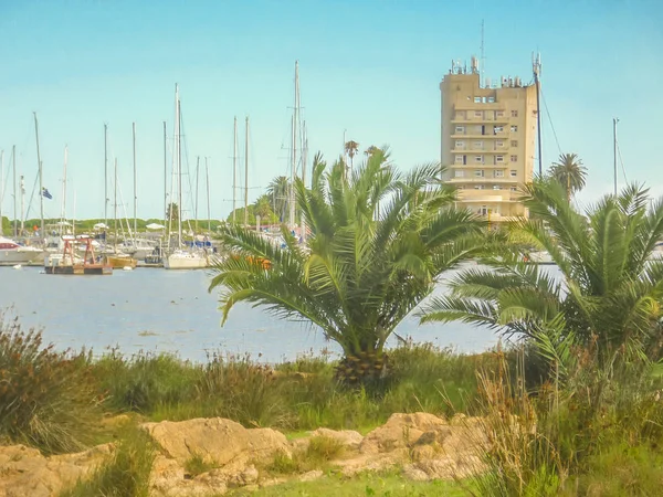 Buceo port, montevideo, uruguay — Stockfoto