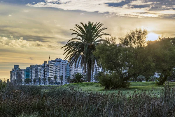 Waterfront Park, Montevideo, Uruguay — Stock Fotó