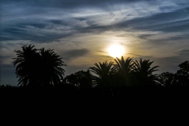 Gün batımı siluet peyzaj sahne
