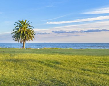 Waterfront Park, Montevideo, Uruguay
