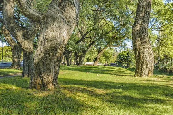 Parque del Prado, Montevideo, Uruguay —  Fotos de Stock