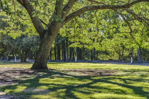 Parc du Prado, Montevideo, Uruguay — Photo